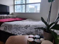 Cozy 1 Bedroom Apartment in Downtown Toronto (Church & Carlton)