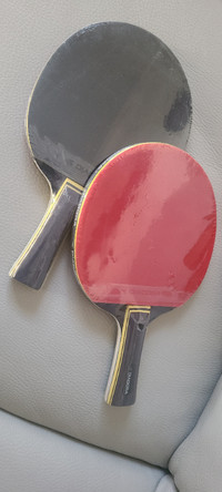 Ping pong paddles