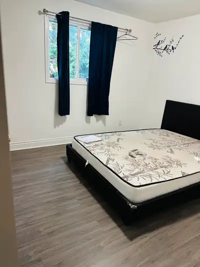 Room in sharing for male