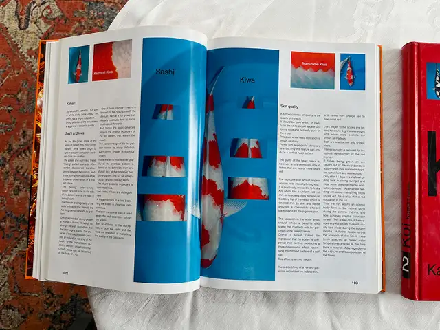 Koi 1 & Koi 2 – Mint Hardcover Set by Harald Bachmann in Other in City of Toronto - Image 4