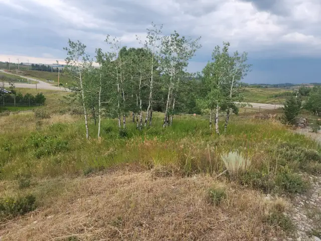 Cottage Club Lot in Ghost Lake in Land for Sale in Calgary - Image 8