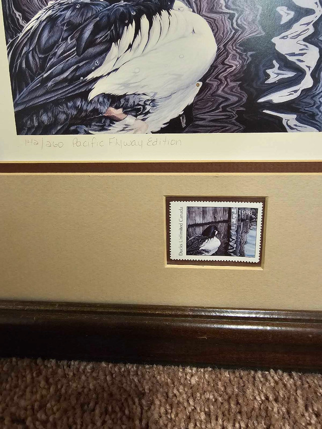 Ducks unlimited print  in Arts & Collectibles in Red Deer - Image 2