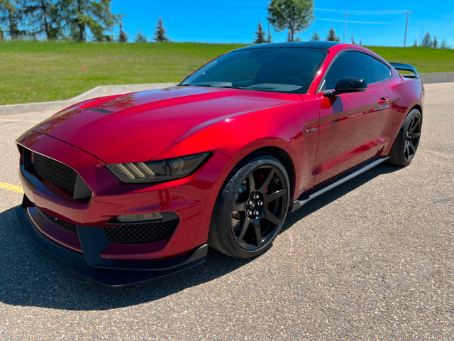 2018 Ford Mustang Shelby GT350R in Cars & Trucks in Calgary