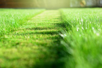 A+ Student Grass Cuts / Garden Cleanup in Durham/Port Union $40+