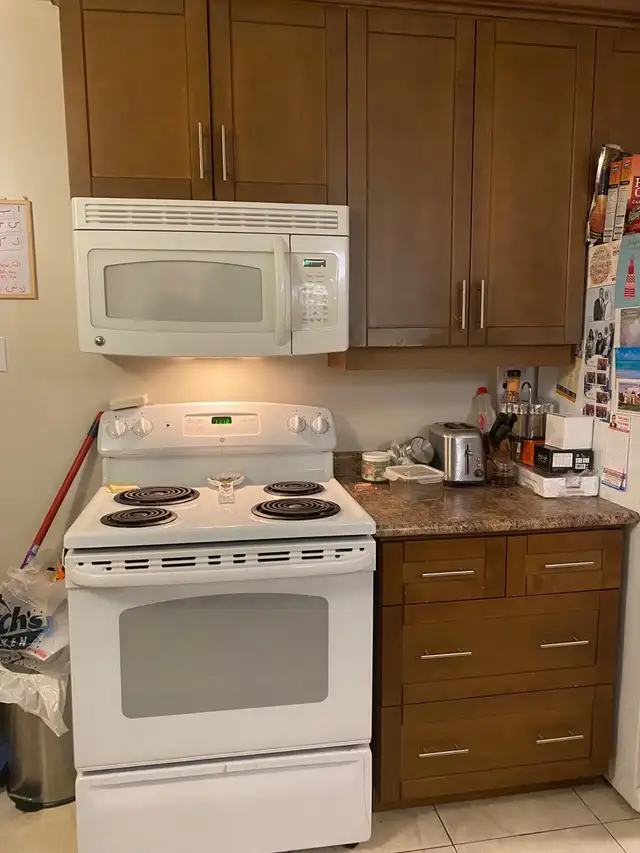 $450 FEMALE in Brampton shared studio basement63771552407299122