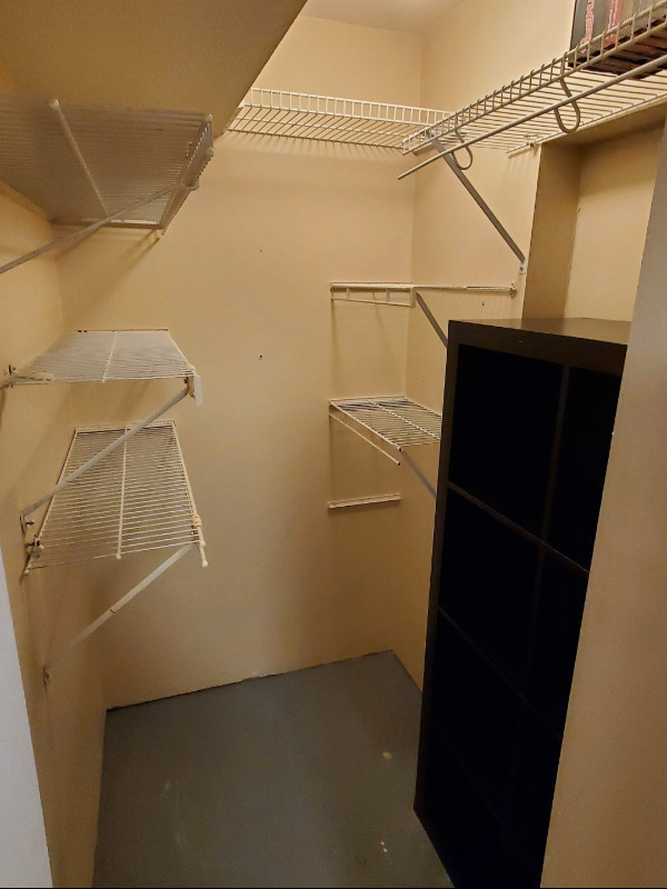 1000 sq ft basement suite in Walnut Grove,Langley Long Term Rentals