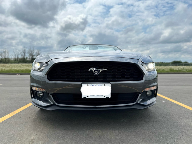 Ford Mustang Ecoboost Premium Convertible in Cars & Trucks in Ottawa - Image 3
