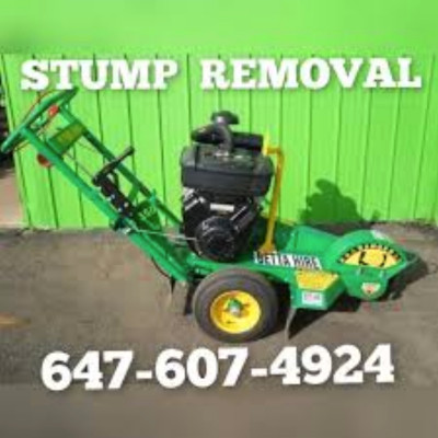 647-607-4924 TREE REMOVAL AND STUMP GRINDING AFFORDABLE.
