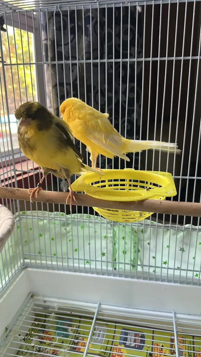  Bored One female, one male bored bored 