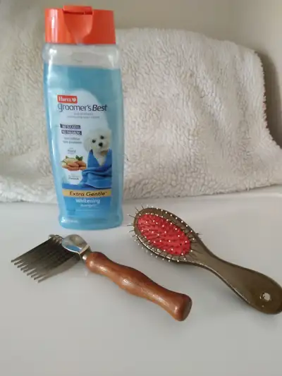 Dog Items, View more