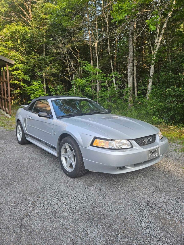Ford mustang 2004 — photo 3