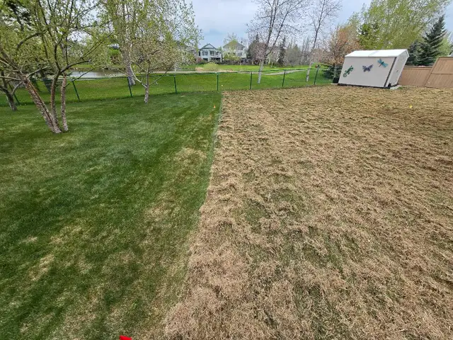 Aerate, Power rake, Overseeding and Fertilizer 63581883083265121