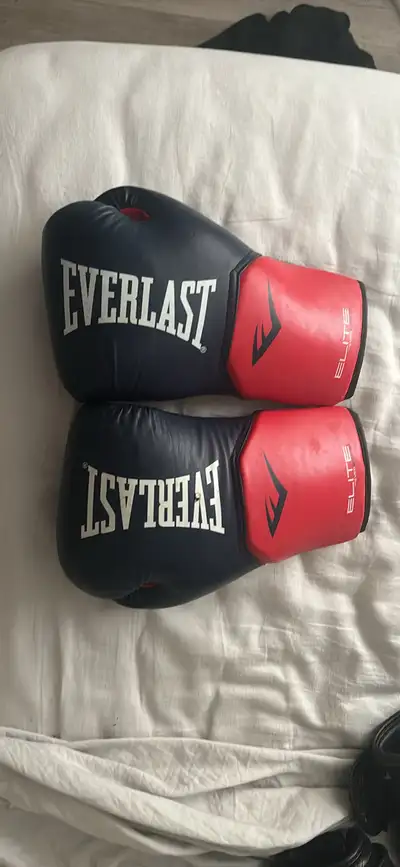 Everlast Sparing Gloves , View more