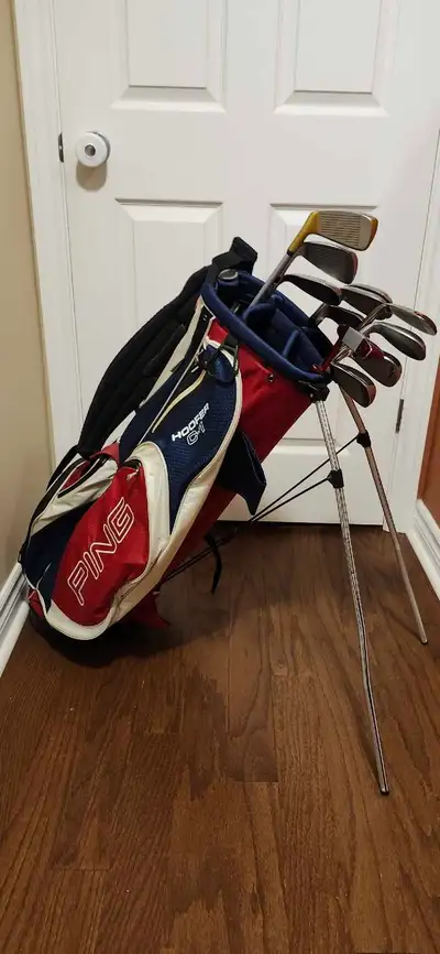 Stand bag w/assorted clubs, View more