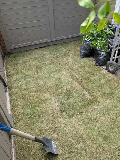 Sod and fake grass 10 years experience My name is Joseph My phone number is 403-813-1102 I only do s...