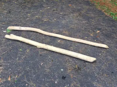 2 Beaver Logs $20, View more