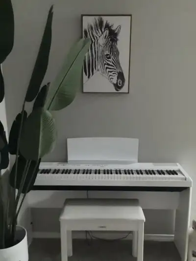 Gorgeous 88 weighted key piano, View more