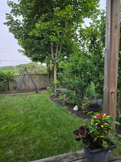 Bright and cozy Walkout Basement Apartment in quiet home in South Pickering. This unit is suitable f...