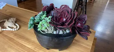Black Pottery Barn Pot with Rocks and Faux Succulents, View more