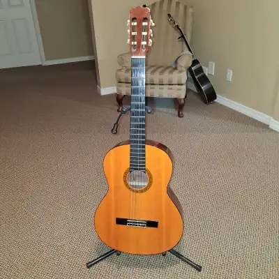 Classic Acoustic Guitar, View more