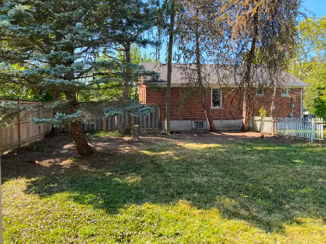 Yard maintenance and landscaping $25 Per hour in Other in St. Catharines - Image 11