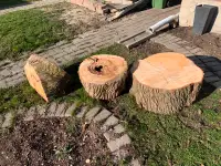 Three piece of Maple wood for free