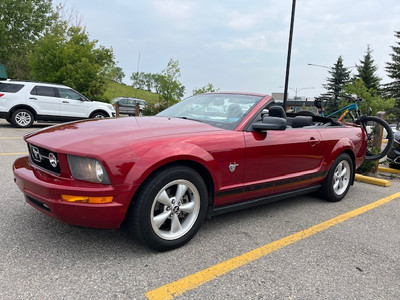2009 Mustang Convertible V-6 style & thrifty. Excellent