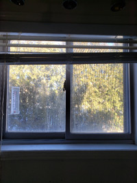 Several Different Size/Windows Blinds (Reduced for quick sale)