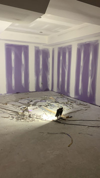 Drywall Tapping, Mudding, Sanding 