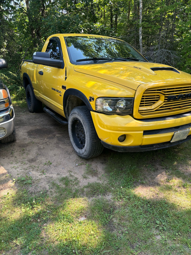 04 Rumble Bee SCSB Hemi 4X4 in Cars & Trucks in Trenton