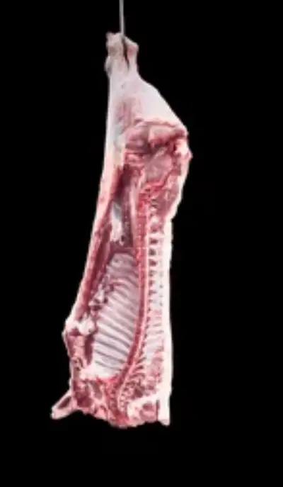 Hanging Pork Halves , View more