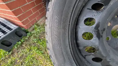4 winter tires and rims. Steel rim and tire are brand new. Other 3 have about 10 months of use on th...