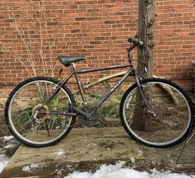 Raleigh Rimrock Bicycle, View more