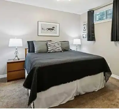 Complete bed set includes everything, View more