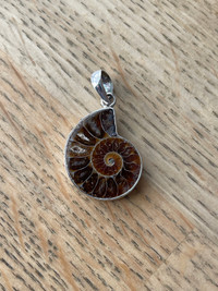 Ammonite fossil pendant from Madagascar