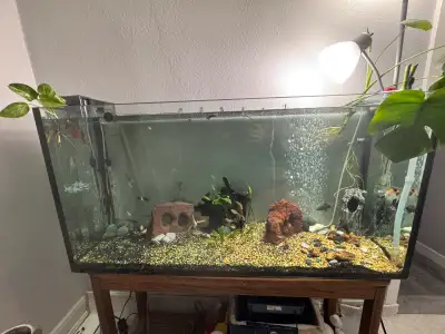 aquarium tank, View more