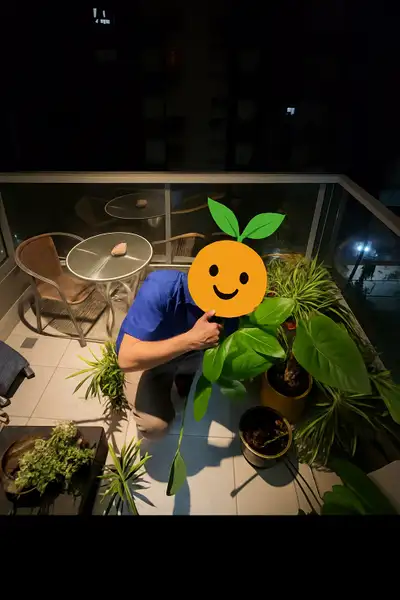  Just Moved — Looking for Free Plants Near Davisville  , View more