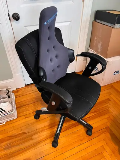 Ergonomic Office Chair + Therapeutica Back Support, View more