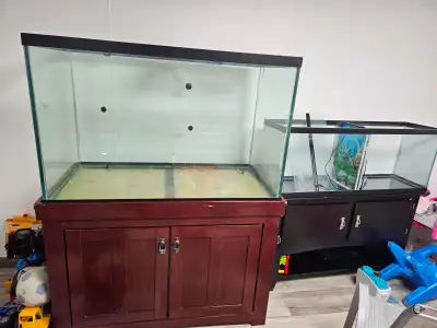 150 gallon tank with stand and lids... no scratches... and also split 55 gallon tank with lids... 25...
