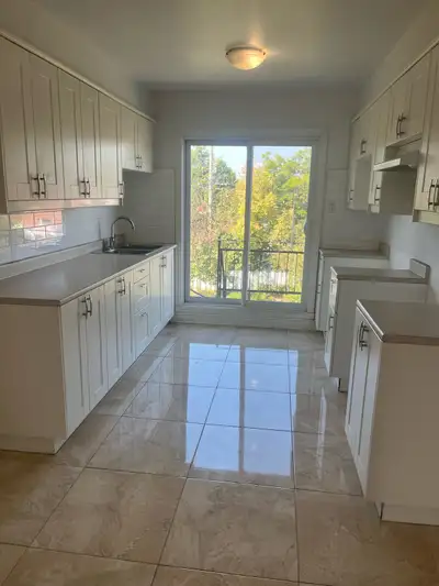 ****SVP BIEN LIRE L’ANNONCE AVANT DE RÉPONDRE**** - 4 1/2 À LOUER DANS NOUVEAU ROSEMONT ( PROCHE DU...