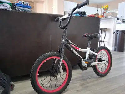 Giant Animator 16" Kids Bike - Lightweight & Great Condition*, View more