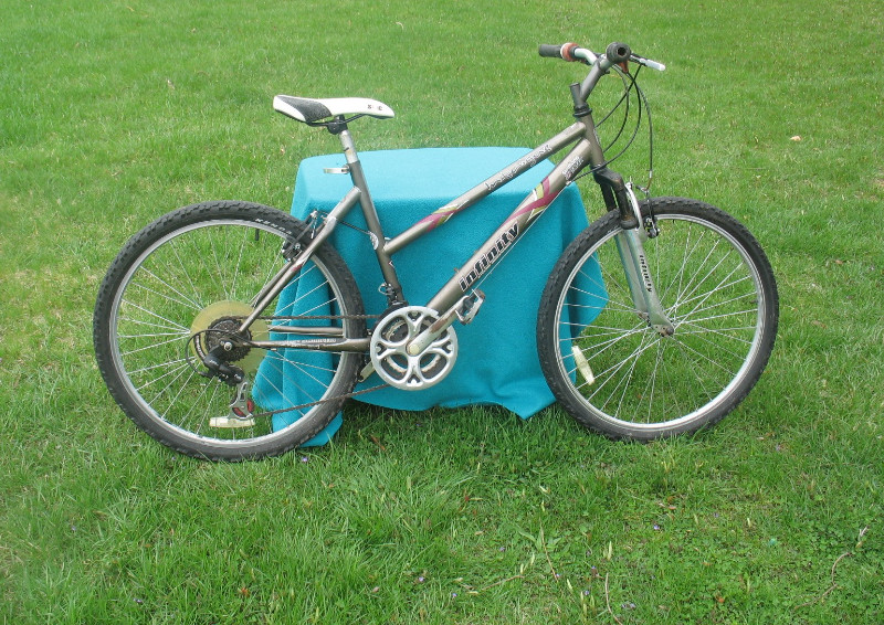 Infinity 21 speed mountain bike sale