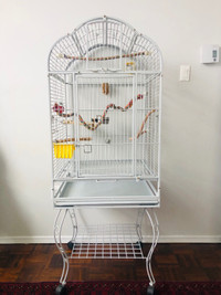  Large cage like new 