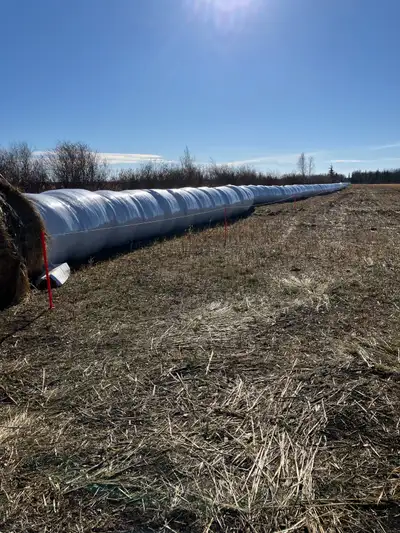 oat/haylage bales, View more