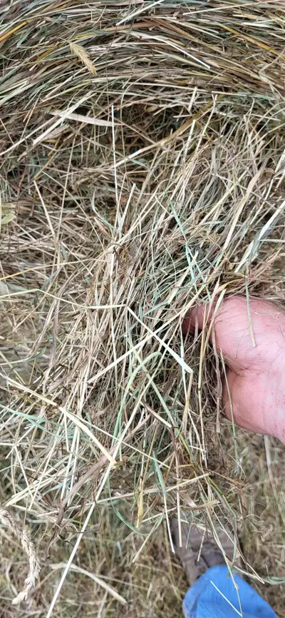 4x4 round bale hay, View more
