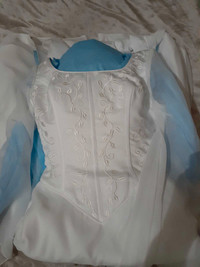 Princess Bride wedding dress with veil. A1 condition.