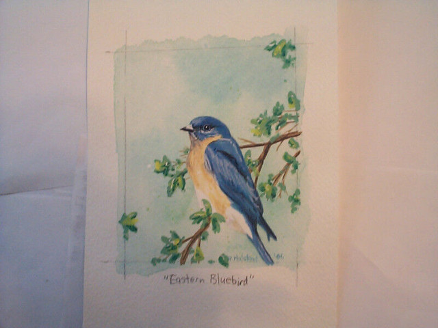 EASTERN BLUEBIRD Original Artwork - several to choose from in Arts & Collectibles in Winnipeg - Image 2