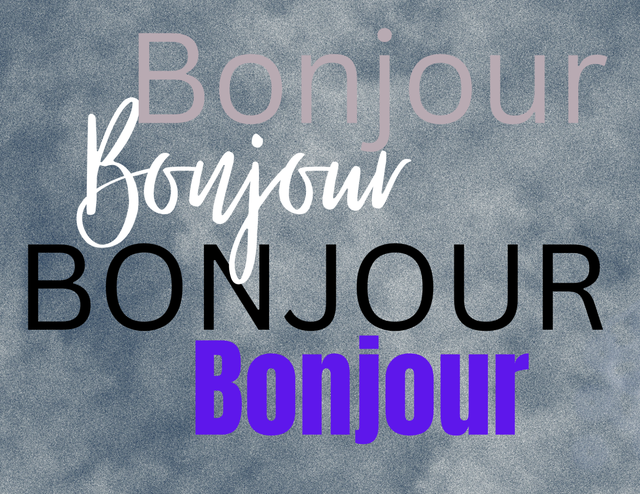 TOP NOTCH FRENCH TUTORING