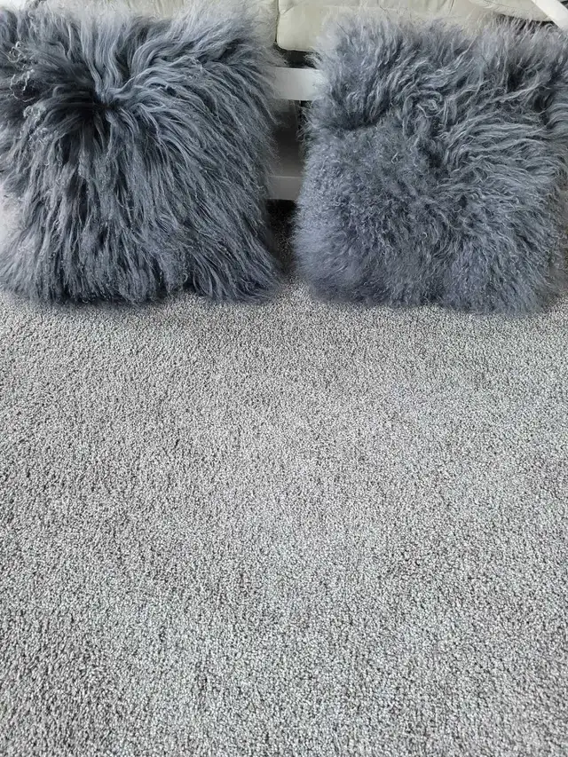 Sofa Cushions64407491603329120