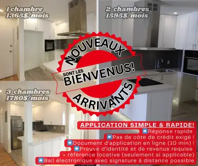 Magnifique 4 1/2 style Loft Rénové près Métro Langelier